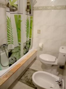 a bathroom with a toilet and a shower and a sink at El Rincón de Sara in Tui