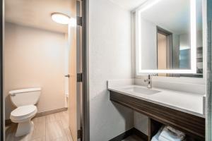 Holiday Inn Express & Suites Phoenix - Mesa West, an IHG Hotel في ميسا: حمام مع مرحاض ومغسلة ومرآة