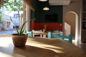 una maceta sentada sobre una mesa de madera en 3B Wellness Hostel en Playa del Carmen