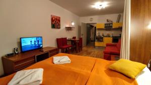 TV a/nebo společenská místnost v ubytování Apartment B-105 in the center of Harrachov