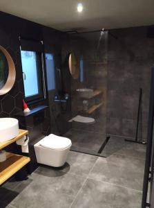 a bathroom with a toilet and a shower at Wooden cave in Diessen
