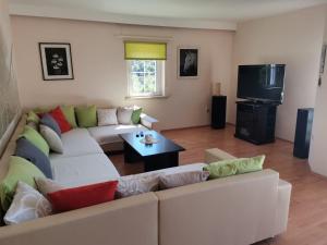 Televízia a/alebo spoločenská miestnosť v ubytovaní Apartment Tempera