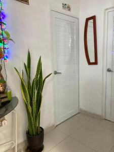 a plant in a room next to a door at Casa Paraíso in Guayaquil