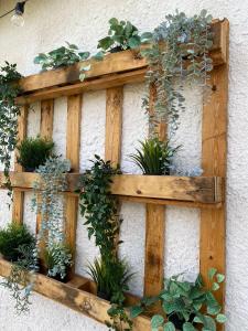 a wooden shelf with potted plants on a wall at Casinhas dos Valados in Atouguia da Baleia