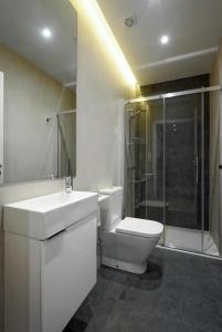 uma casa de banho com um WC, um lavatório e um chuveiro em Apartamento Urumea by SanSe Holidays em San Sebastián