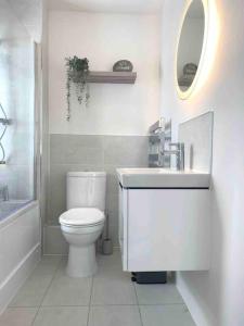 a bathroom with a toilet and a sink and a mirror at 2 Bed Cottage Barnstaple North Devon Dog-Friendly! in Barnstaple