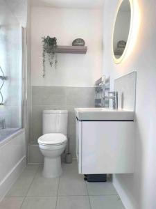 a bathroom with a toilet and a sink and a mirror at 2 Bed Cottage Barnstaple North Devon Dog-Friendly! in Barnstaple +11 photos