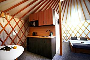 Glamping Dolina的厨房或小厨房