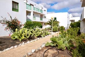 una fila di piante di fronte a un edificio di Casita perla blanca a Costa de Antigua