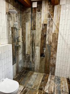 łazienka z prysznicem i toaletą w obiekcie Cichosza domek w Szczyrku w Szczyrku