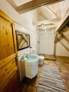 a bathroom with a sink and a toilet at Zauberhaftes Vierbett-Apartment nahe Magdeburg in Barleben