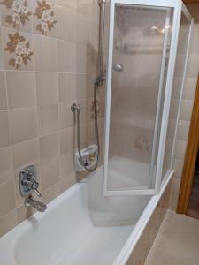 La salle de bains est pourvue d'une douche avec une porte en verre. dans l'établissement Auronzo Vacanze di Marina e Valter - Corte 25, à Auronzo di Cadore