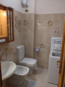 La petite salle de bains est pourvue de toilettes et d'un lavabo. dans l'établissement Auronzo Vacanze di Marina e Valter - Corte 25, à Auronzo di Cadore