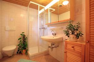 a bathroom with a sink and a shower and a toilet at Familienfreundliches Apartmenthaus Thuss`n, ruhige Lage, im Herzen der Wanderregion Kitzbüheler Alpen und MTB Trails in Kirchberg in Tirol