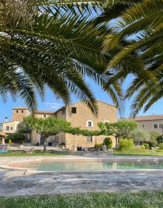 una palmera delante de un edificio en Mas Feliu Turismo Rural, en Pujals dels Cavallers