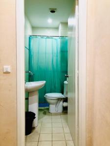 La salle de bains est pourvue de toilettes, d'un lavabo et d'une douche. dans l'établissement Hotel Dar Ali, à Tunis