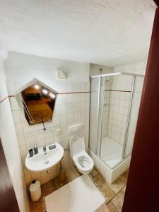 Zweibettzimmer mit eigenem Bad في بارليبين: حمام مع مرحاض ومغسلة ودش