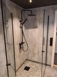 a shower with a glass door in a bathroom at Arctic Sea house in Svensby