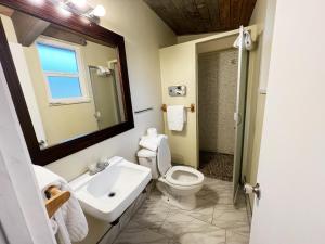 y baño con aseo, lavabo y ducha. en OMEO Suites Big Bear en Big Bear Lake