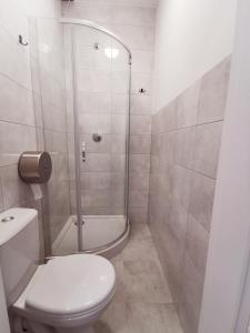 W łazience znajduje się prysznic, toaleta i umywalka. w obiekcie Komfortowa kwatera w mieście Stęszew