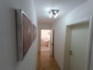 TV a/nebo společenská místnost v ubytování Apartments Ivica