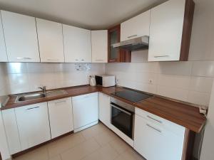 Kuchyň nebo kuchyňský kout v ubytování Apartments Ivica
