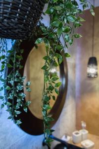 Eine Pflanze hängt vor einem Spiegel in der Unterkunft Design & Luxus Villa Decumanus in Radmani