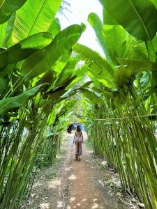 a woman walking down a path through a banana plantation at Forest Camp El Nido in El Nido