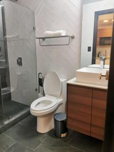 La salle de bains est pourvue de toilettes, d'une douche et d'un lavabo. dans l'établissement Tijax 10 apartamento en zona 10, à Guatemala