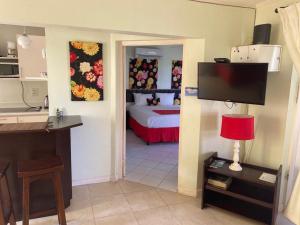 een kamer met een slaapkamer met een bed en een televisie bij 1 bedroom Penthouse Suite 63 at Mystic Ridge Resort in Ocho Rios