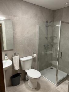 a bathroom with a shower and a toilet and a sink at No. 8 Ceide Spris Self Catering House in Killarney