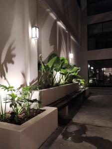 a group of plants sitting on the side of a building at Mirador La Viña in Salta