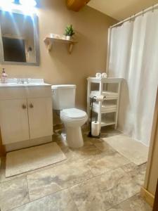 een badkamer met een toilet, een wastafel en een spiegel bij Pocono cabin with private pool at Shawnee Mtn in East Stroudsburg