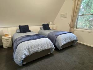 a bedroom with two beds and a window at Puddleduck Cottage at Maleny in Balmoral Ridge