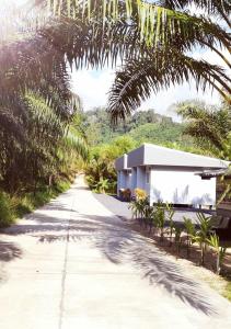 una carretera que conduce a una casa con palmeras en หมอกยามเช้า กะปง รีสอร์ท, en Ban Mo