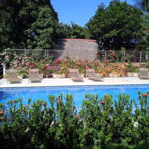 una piscina con sillas y flores en un jardín en Color Hostel Palomino en Palomino