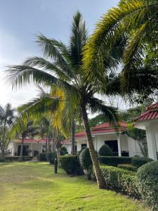 Zahrada ubytování Matcha Lanta Resort