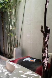 a room with a bed with a tree in it at Dechiu in Hoi An