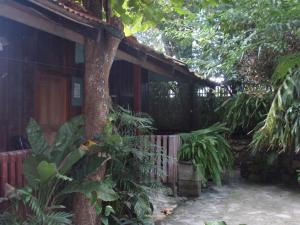 un edificio de madera con un árbol delante de él en Guest house Posada Ixchel, en El Remate