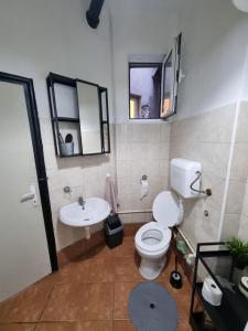 een badkamer met een toilet, een wastafel en een spiegel bij Downtown Belgrade Hostel and Apartments in Belgrado