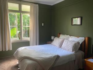 a bed in a green bedroom with a window at Okato Homestay in Okato