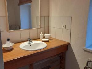 eine Badezimmertheke mit einem Waschbecken und einem Spiegel in der Unterkunft Gîte Saint-Régis-du-Coin, 3 pièces, 4 personnes - FR-1-496-268 in Saint-Régis-du-Coin