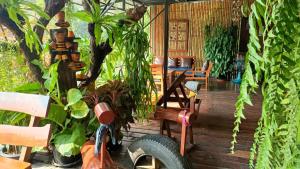 una habitación llena de muchas plantas y una moto en Baan Canalee (บ้านคานาลี) en Phra Nakhon Si Ayutthaya