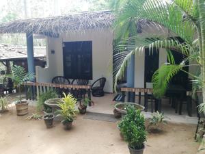 a house with a bunch of plants in front of it at Sea Breeze Garden in Tangalle