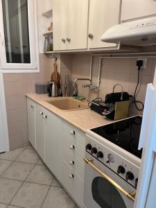 uma cozinha com um lavatório e um fogão forno superior em Alex’s home next to Laiko em Atenas