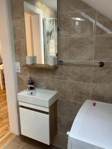 a bathroom with a sink and a mirror at Ferienwohnung Alpina in Feldkirch