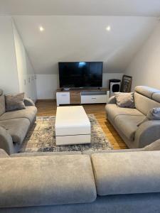 TV a/nebo společenská místnost v ubytování Ferienwohnung Alpina