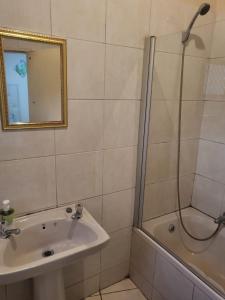 een badkamer met een wastafel en een douche bij ALBATROSSWAYS LODGE in Sandton
