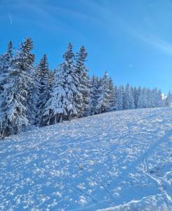 Flora Ski-slope Studio Apartment during the winter