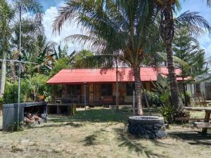 une maison avec un toit rouge et des palmiers dans l'établissement C Point Krui, à Krui